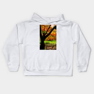 Autumn Acer Tree Westonbirt Arboretum Cotswolds Gloucestershire Kids Hoodie